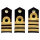 Epaulettes